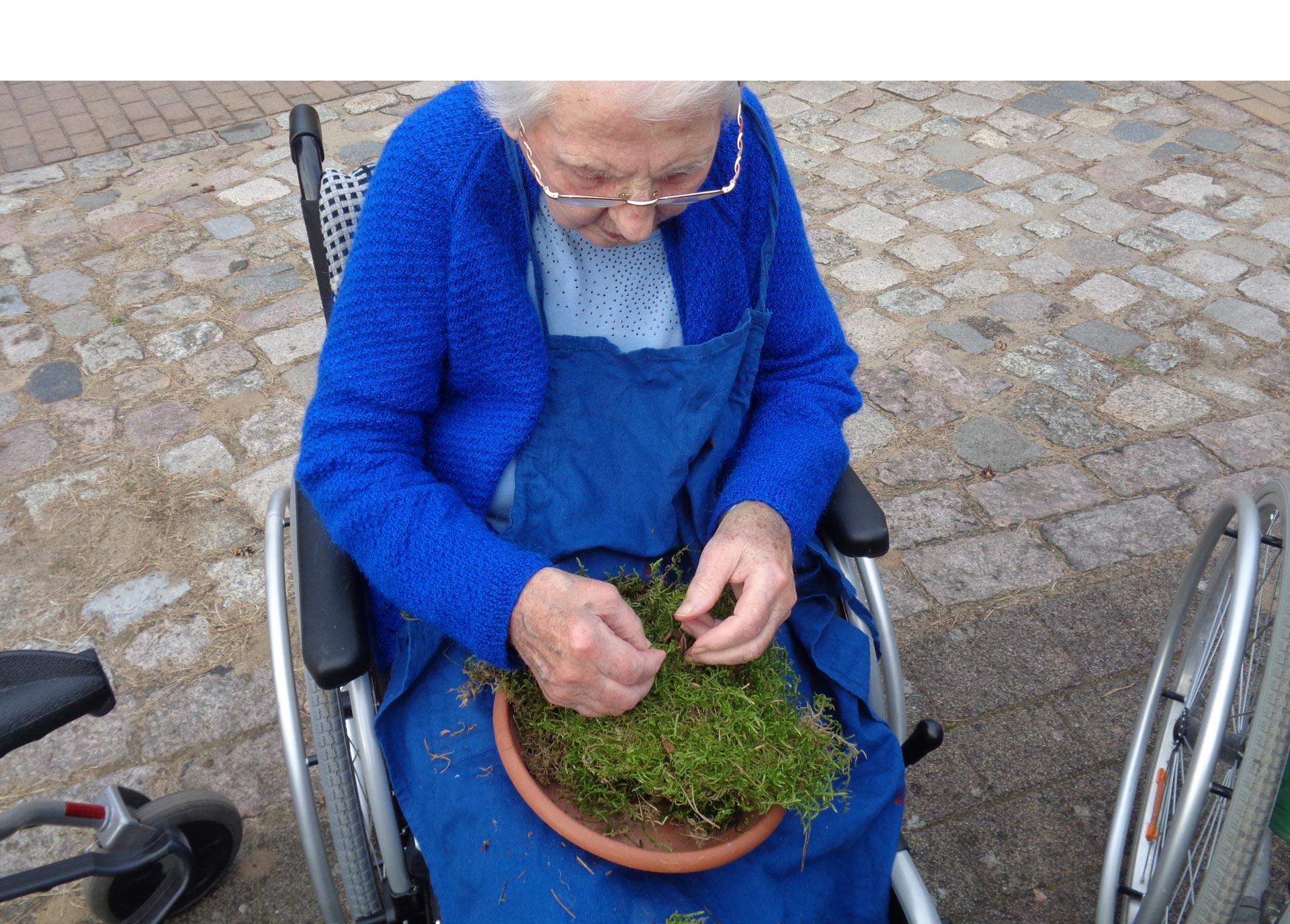 Arbeiten im Therapiegarten von Gartentherapeutin Annegret Huth