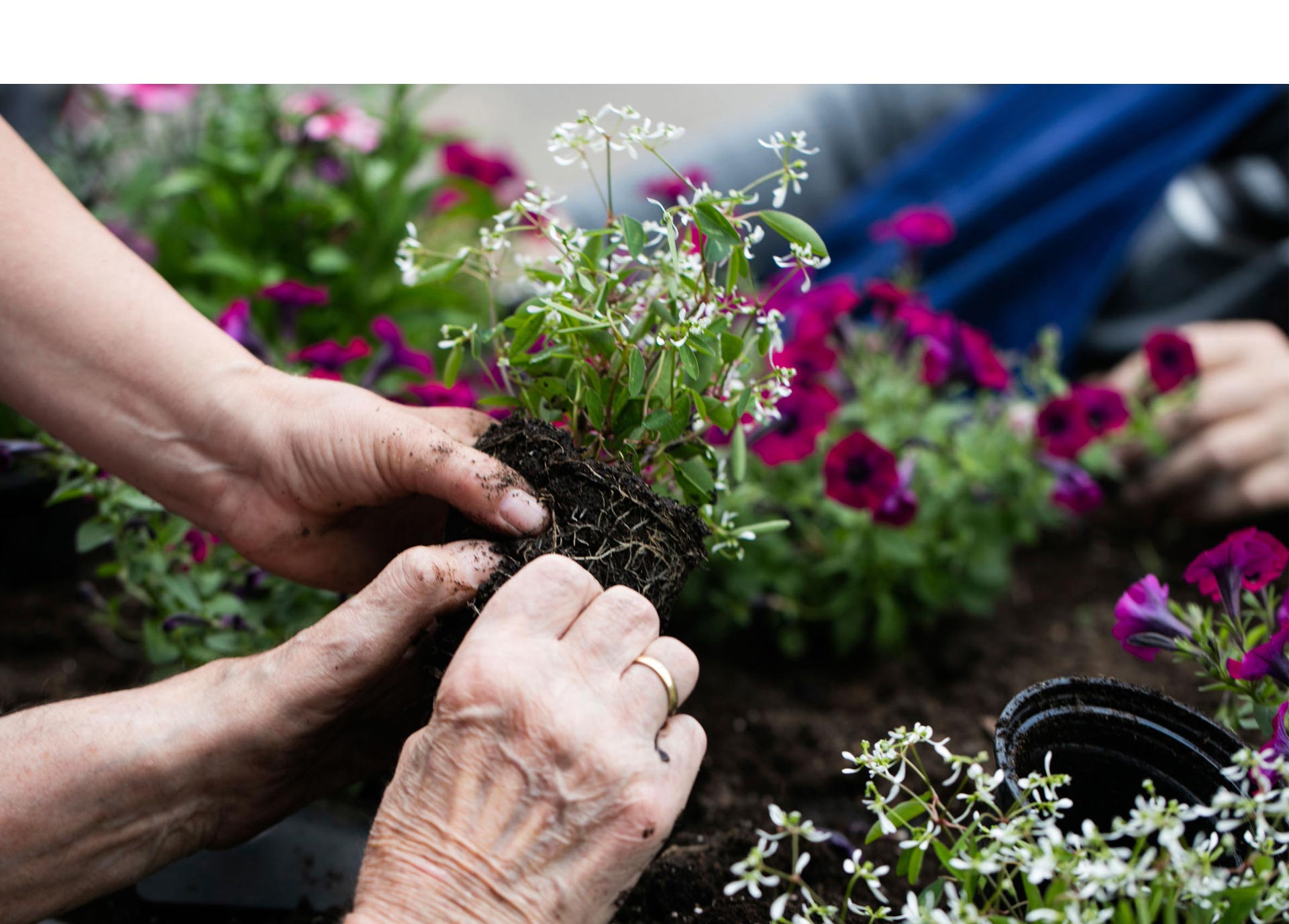 Arbeiten im Therapiegarten von Gartentherapeutin Annegret Huth